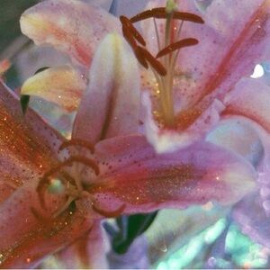 Meet your Posher, Cheynie